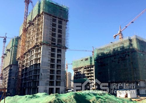 阳谷揽湖上城最新消息