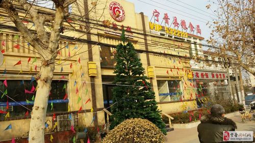 宁晋弘启名城最新消息