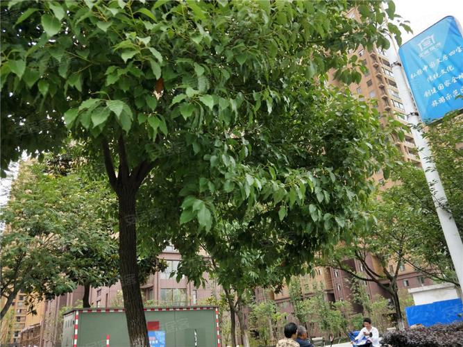 宣城敬亭春晓最新消息