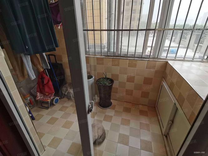 金泰怡景花园最新消息