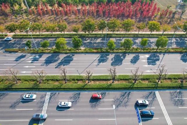 阜阳西湖大道最新消息