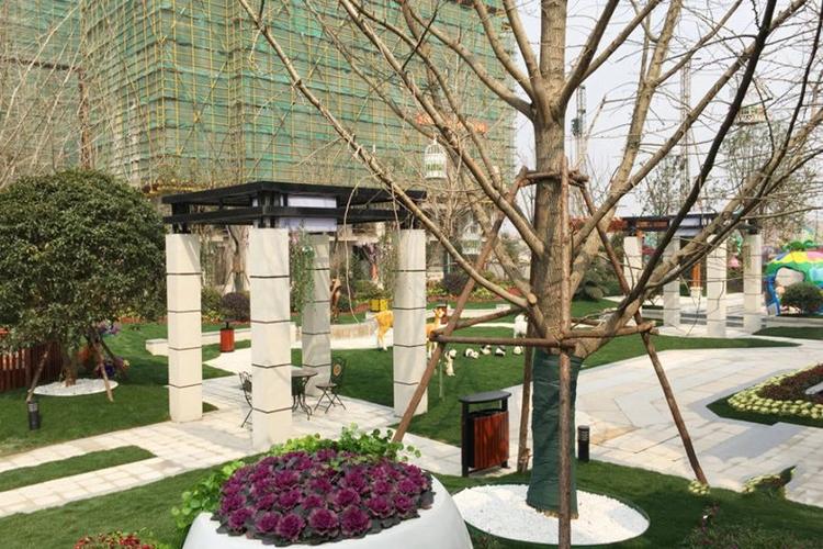 恒大佘山首府房价