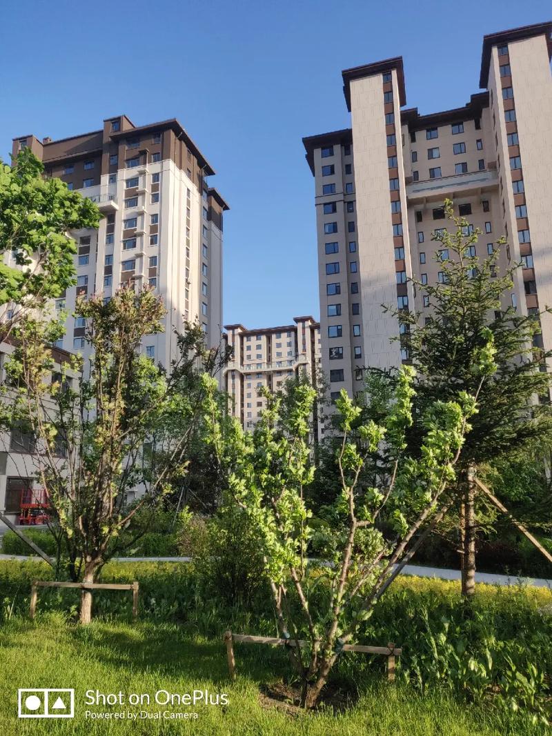 延吉市新楼盘房价