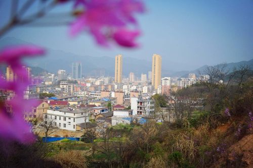 岳西城市广场最新消息