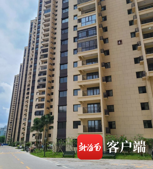 海口大英棚改最新消息