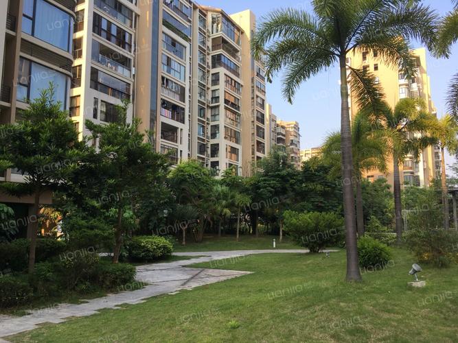 厦门凯悦新城房价