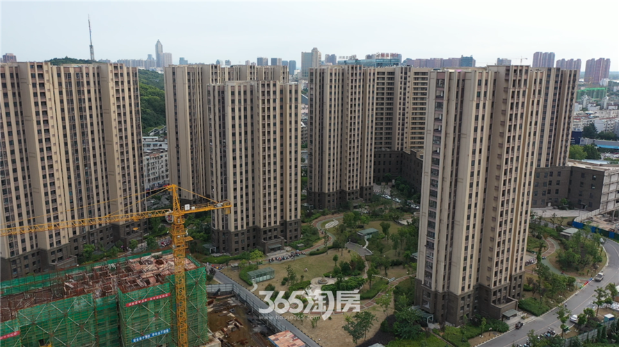 赭山春秋最新工程进度