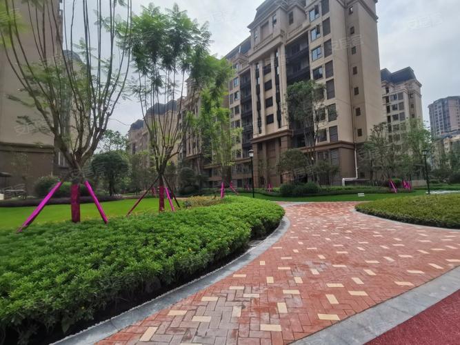 承平盛世四期最新图片