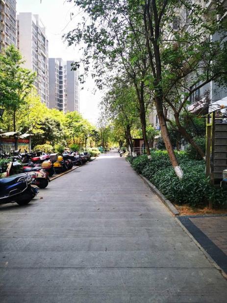 柳州华柳佳苑房价