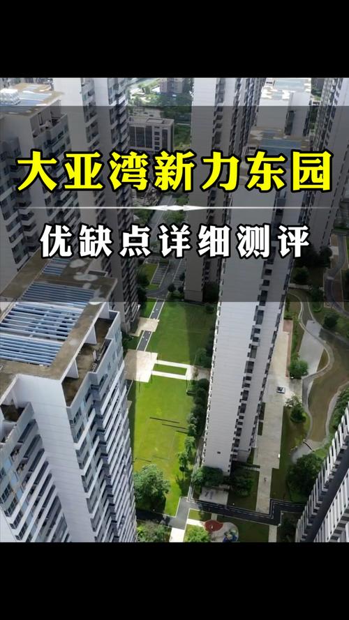 惠州新力东园房价