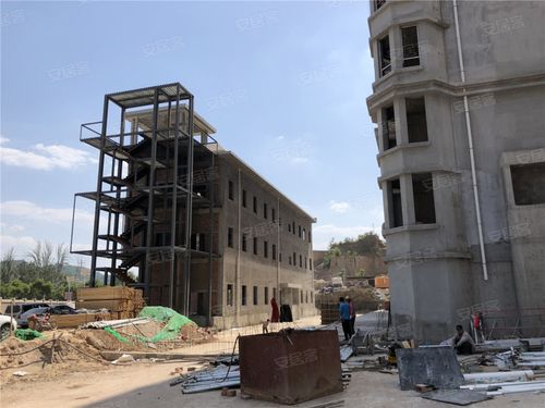 凯泽世纪公园最新消息