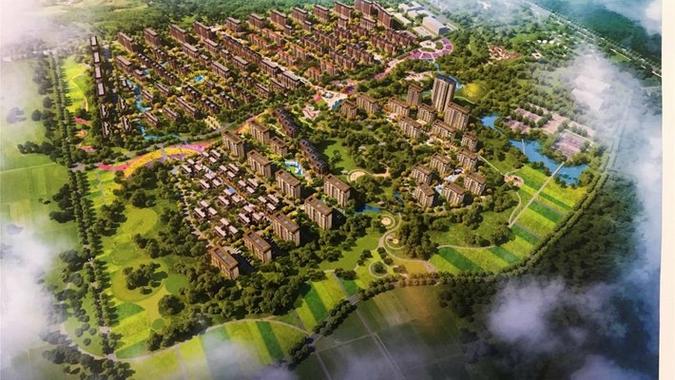 新乡青云林海最新消息