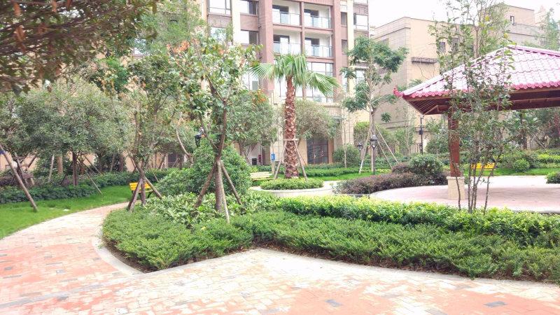 北新上锦最新消息图片