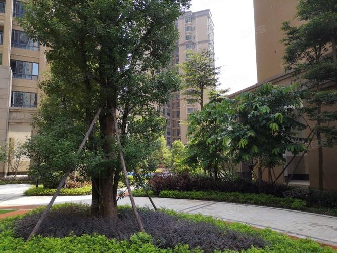 东江学府六期最新房价