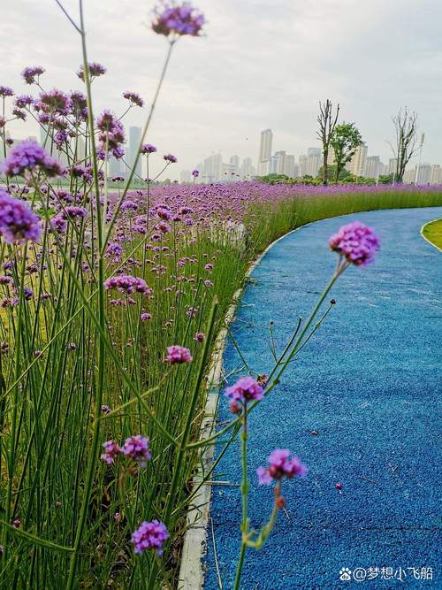 方岛湿地公园最新消息