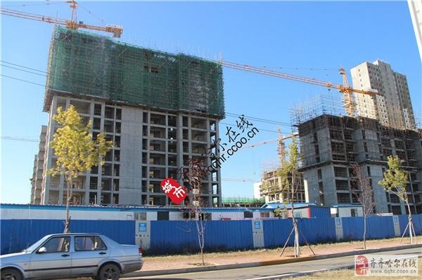 乐鹤公元一期最新动态