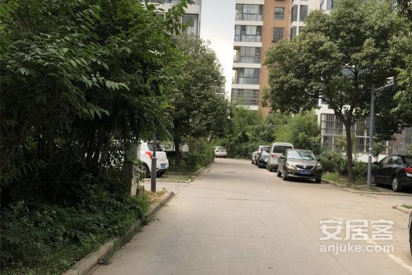 连云港温哥华最新消息