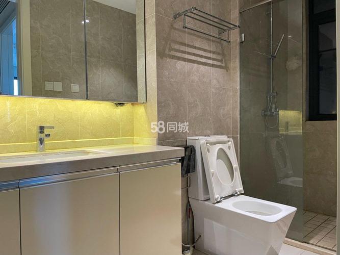 合肥新地中心二手房