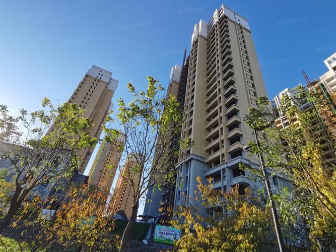 邢台瑞海绿洲最新消息