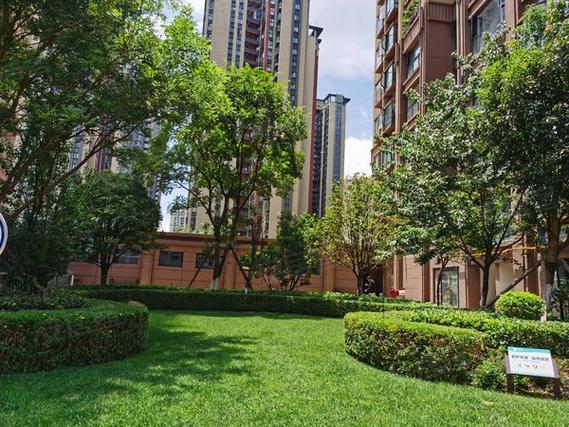 昆明润城八区最新动态