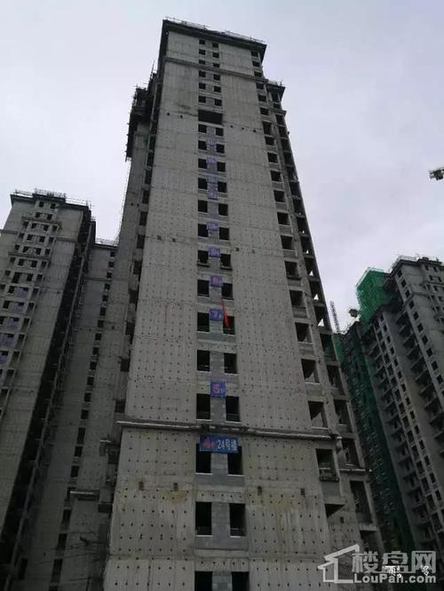 领世城邦最新施工进度