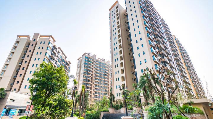 德雅湾阳光海最新楼价