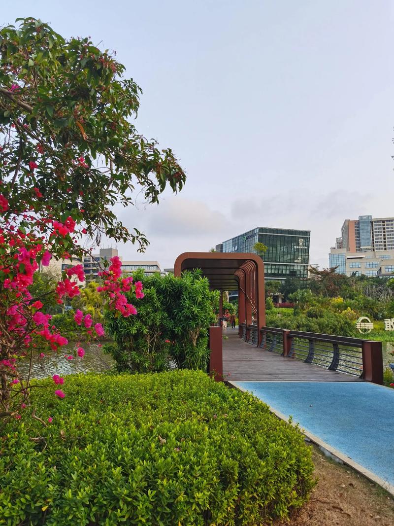 海口澄迈老城最新消息