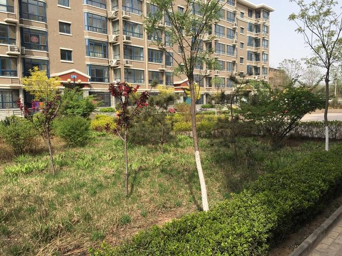 保定市定兴县房价