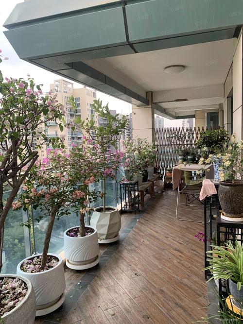 深圳三湘海尚房价