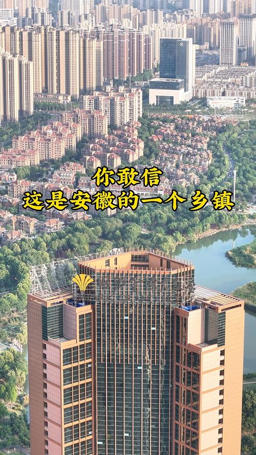 双墩划到合肥最新新闻