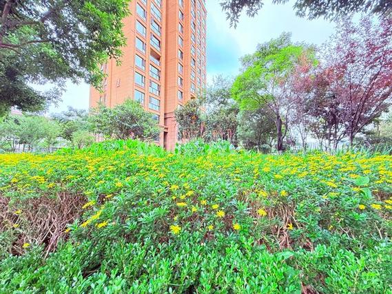 中海锦苑昆明最新新闻