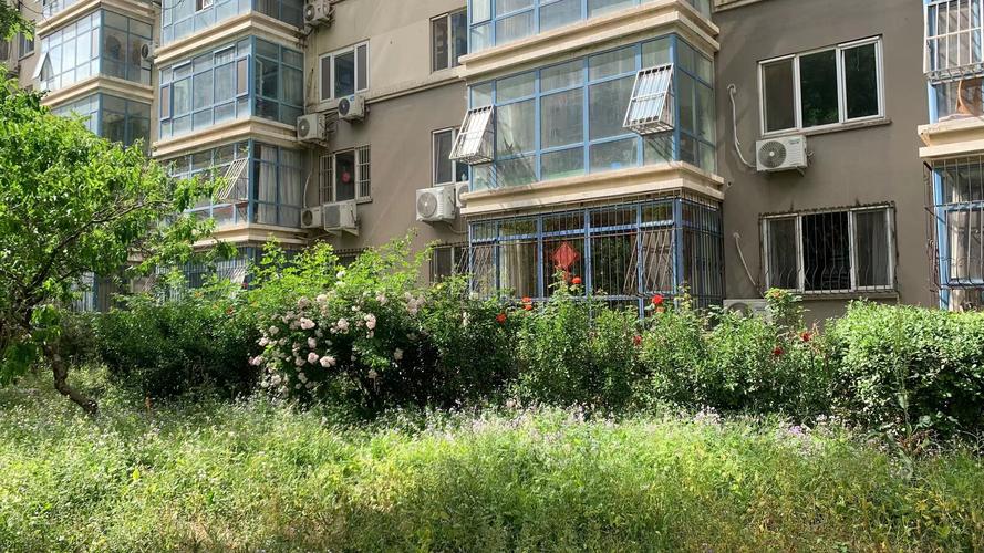 天通苑西三区二手房