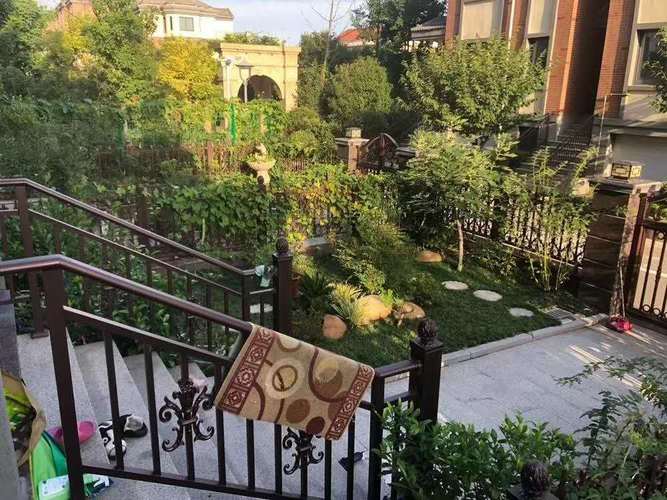 赣榆西苑华庭最新房价