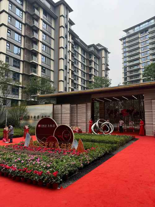 岳西阳光尊邸最新动态