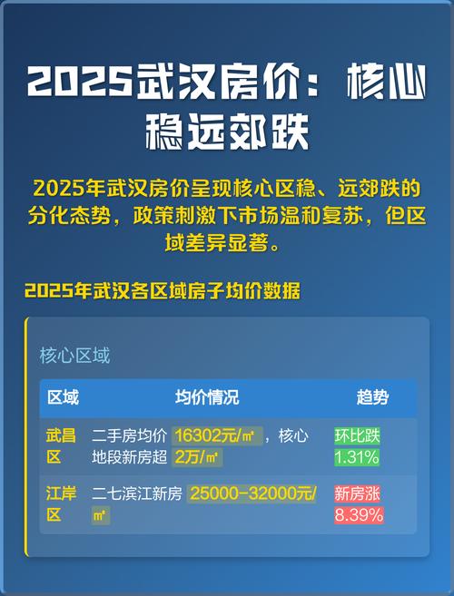 房价视频2025