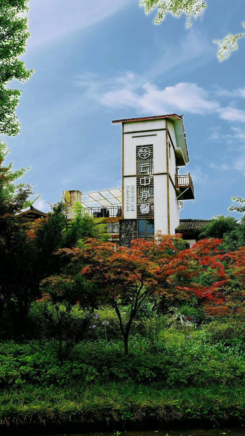 峨眉山七里坪二手房