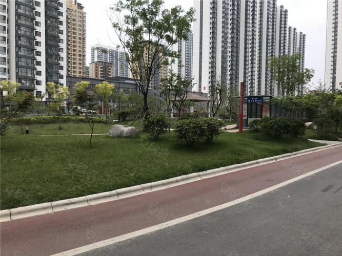 联安金雀新城最新动态