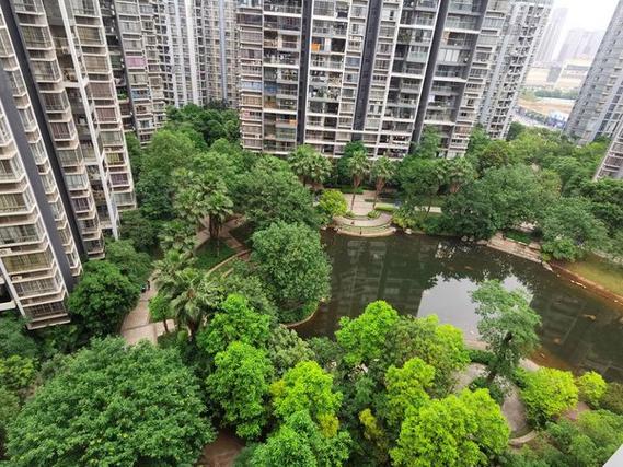 南宁汇东郦城房价