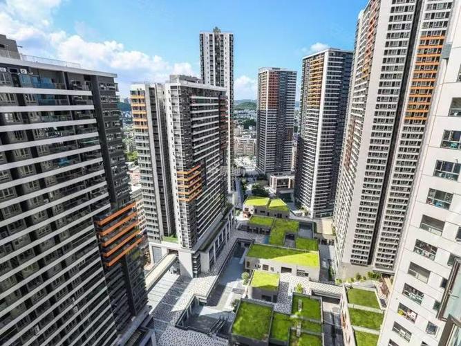 深圳深业东岭房价