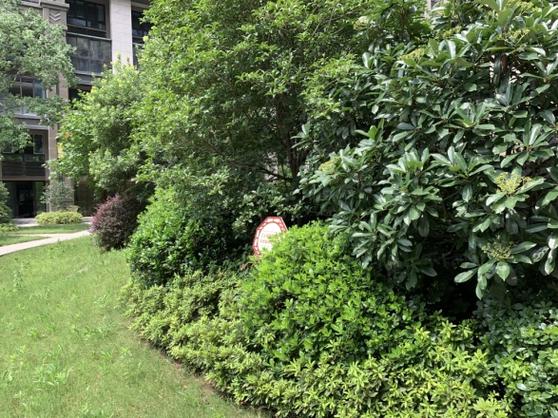 盛泽城中花园房价