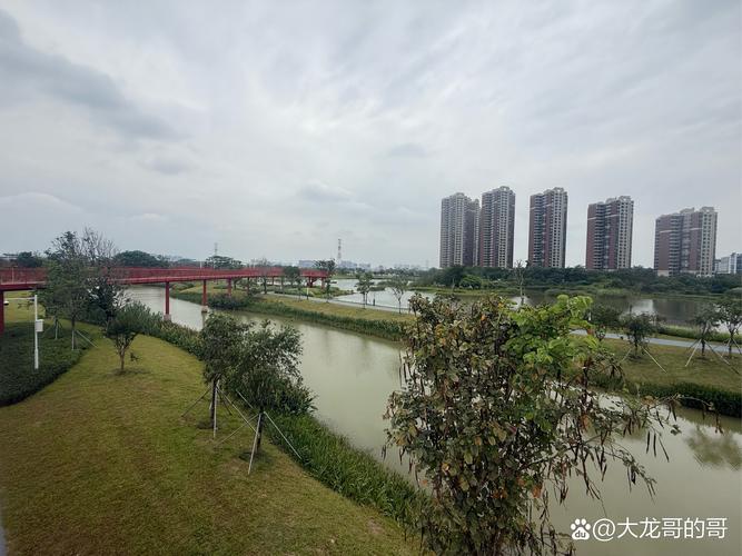 开平香堤翠景最新动态