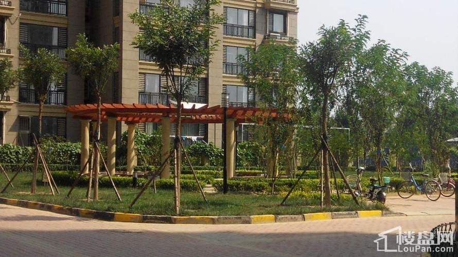 沧州万泰丽景最新动态