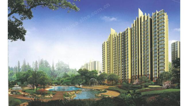 新地国际家园最新消息