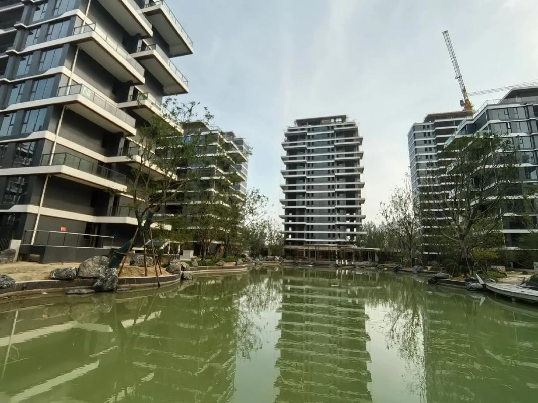 永城老城最新出售房子