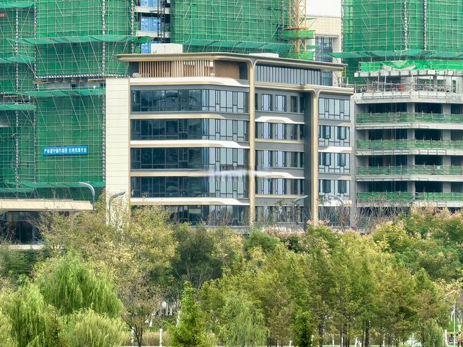 滨江江南之星最新消息