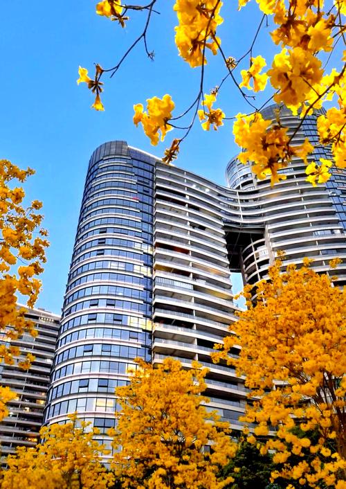 广州天誉半岛房价