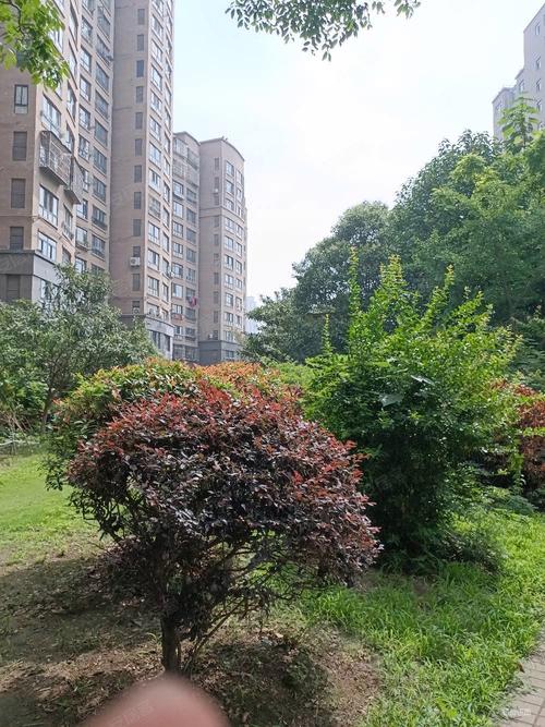 徐州翠湖御景二手房